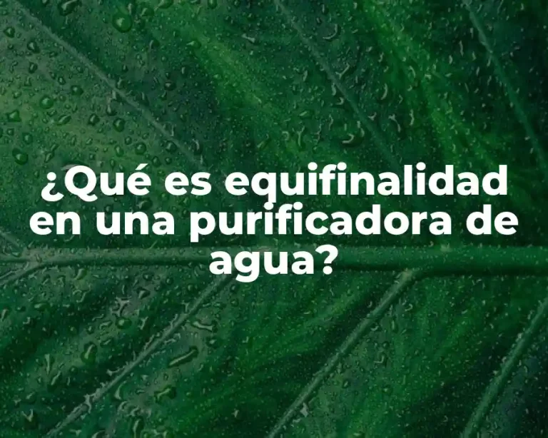 ¿Qué es equifinalidad en una purificadora de agua?