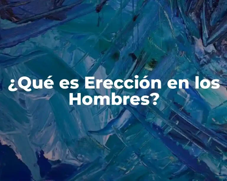 ¿Qué es Erección en los Hombres?