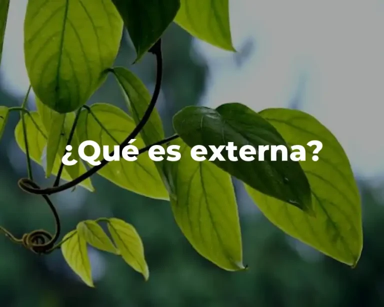 ¿Qué es externa?