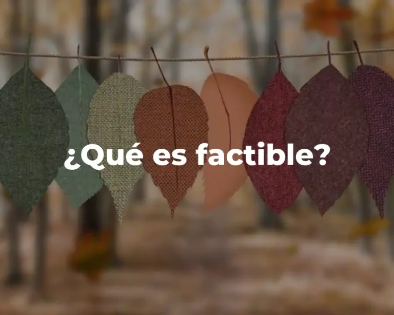 ¿Qué es factible?