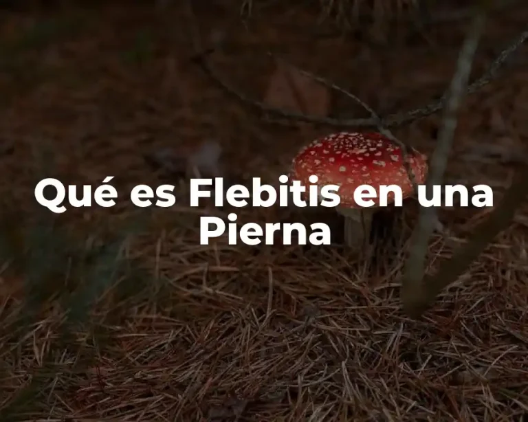 Qué es Flebitis en una Pierna
