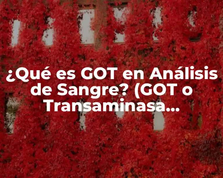 ¿Qué es GOT en Análisis de Sangre? (GOT o Transaminasa Glutámico