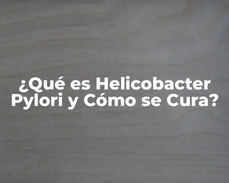 ¿Qué es Helicobacter Pylori y Cómo se Cura?