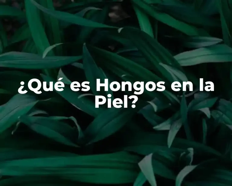 ¿Qué es Hongos en la Piel?