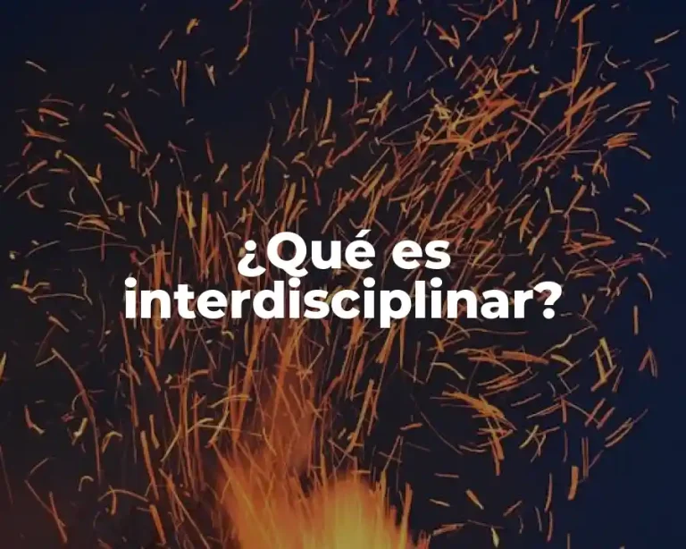 ¿Qué es interdisciplinar?