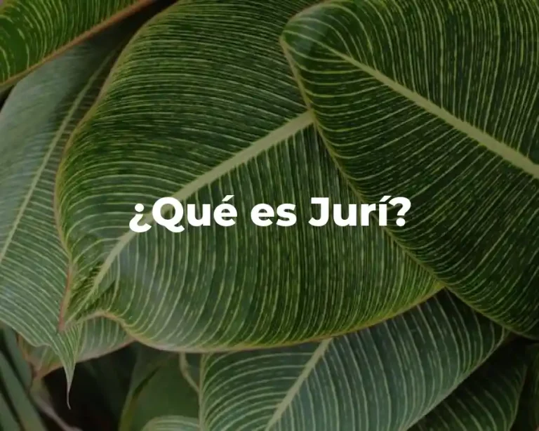 ¿Qué es Jurí?