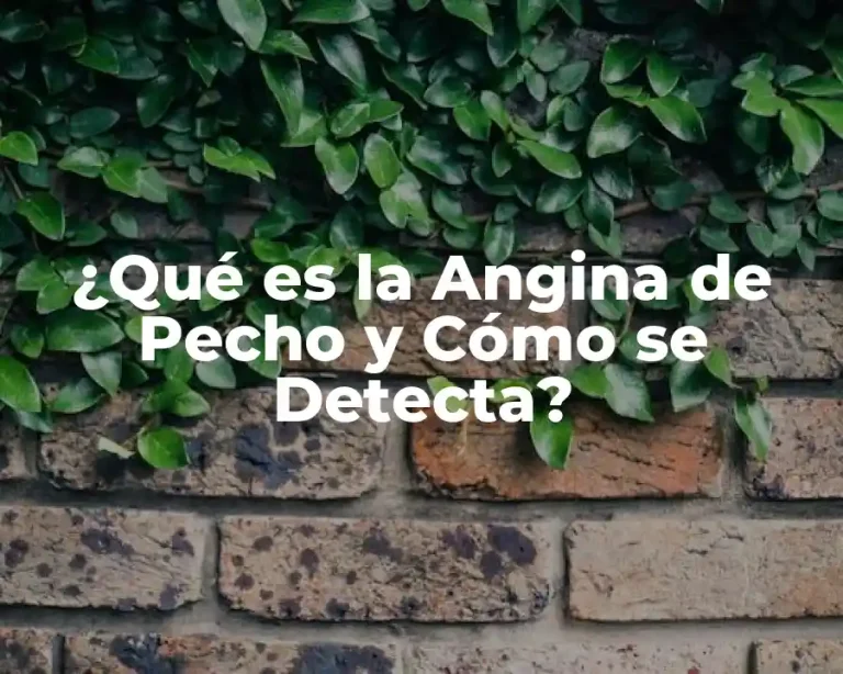 ¿Qué es la Angina de Pecho y Cómo se Detecta?