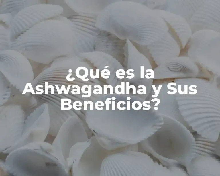 ¿Qué es la Ashwagandha y Sus Beneficios?