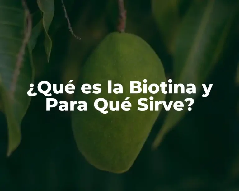 ¿Qué es la Biotina y Para Qué Sirve?
