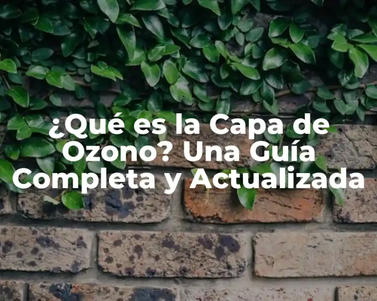 ¿Qué es la Capa de Ozono? Una Guía Completa y Actualizada
