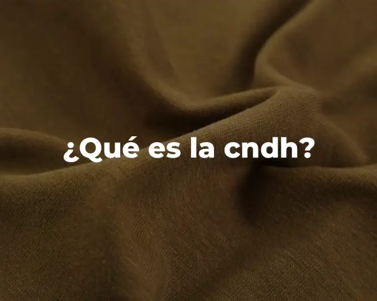 ¿Qué es la cndh?