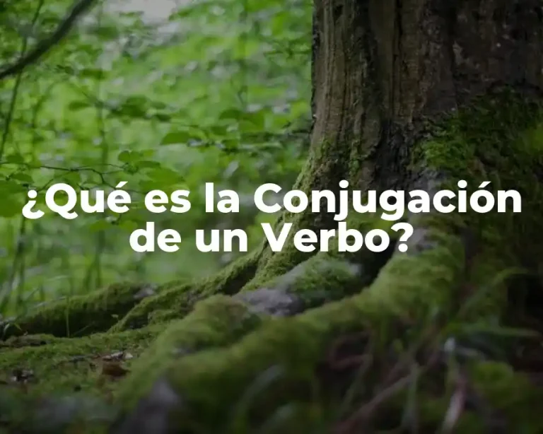 ¿Qué es la Conjugación de un Verbo?
