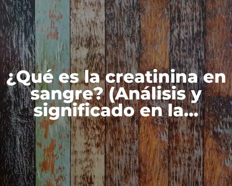 ¿Qué es la creatinina en sangre? (Análisis y significado en la función renal)