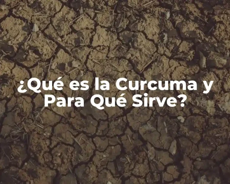 ¿Qué es la Curcuma y Para Qué Sirve?