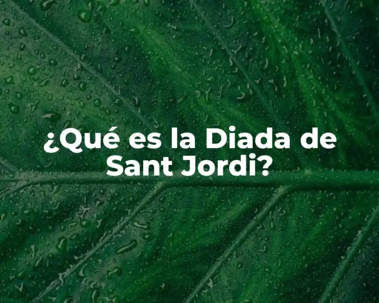 ¿Qué es la Diada de Sant Jordi?