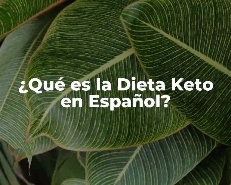 ¿Qué es la Dieta Keto en Español?