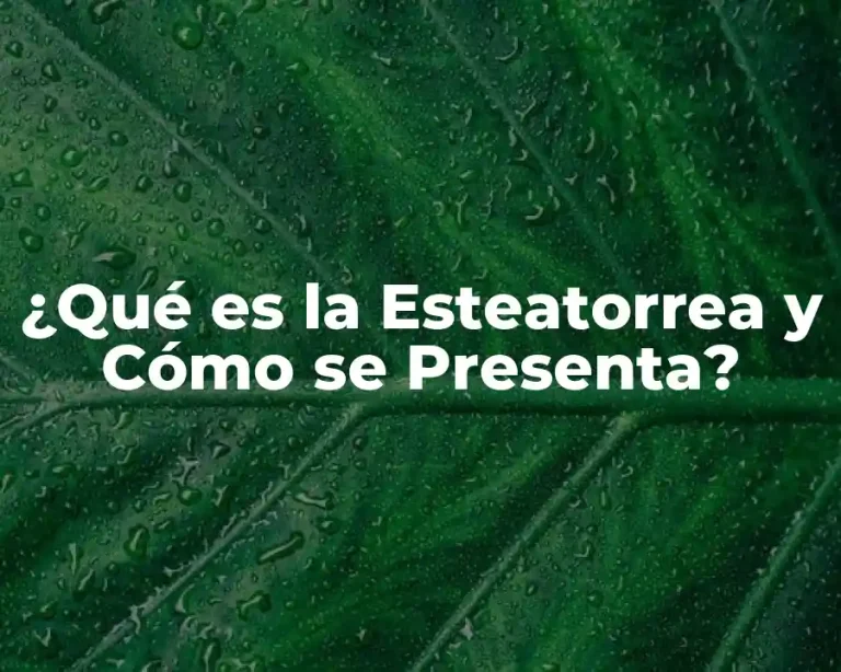 ¿Qué es la Esteatorrea y Cómo se Presenta?