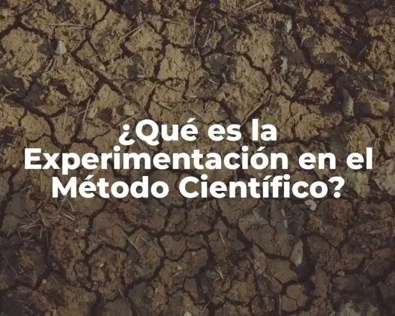 ¿Qué es la Experimentación en el Método Científico?