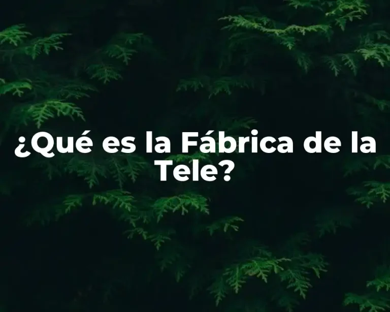¿Qué es la Fábrica de la Tele?