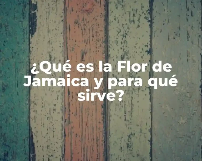 ¿Qué es la Flor de Jamaica y para qué sirve?