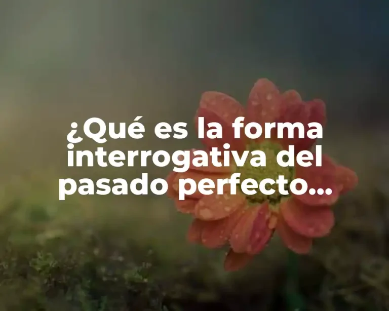 ¿Qué es la forma interrogativa del pasado perfecto continuo?