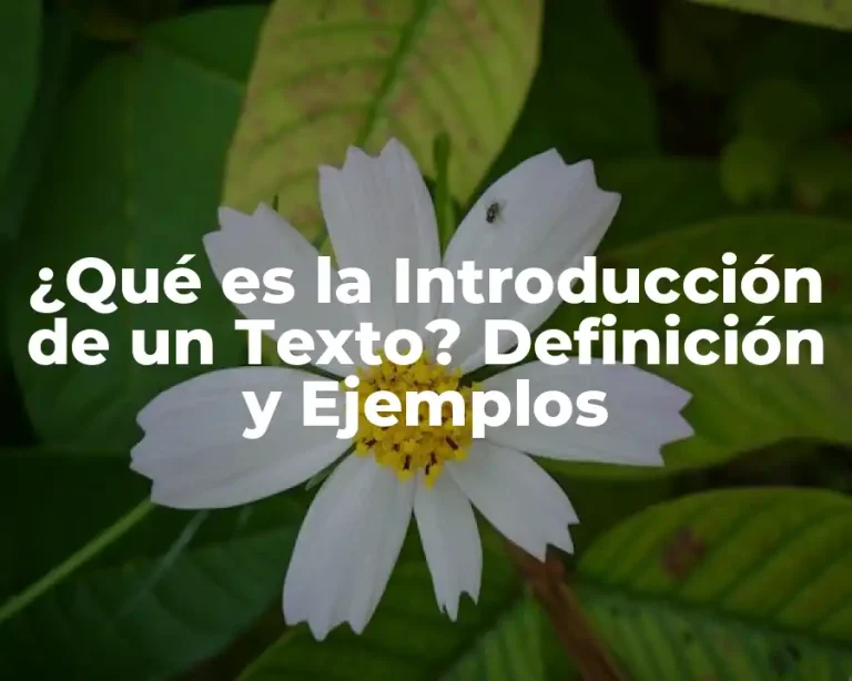¿Qué es la Introducción de un Texto? Definición y Ejemplos