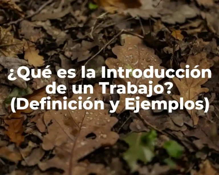 ¿Qué es la Introducción de un Trabajo? (Definición y Ejemplos)