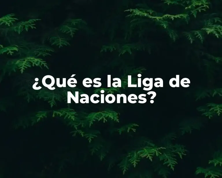 ¿Qué es la Liga de Naciones?