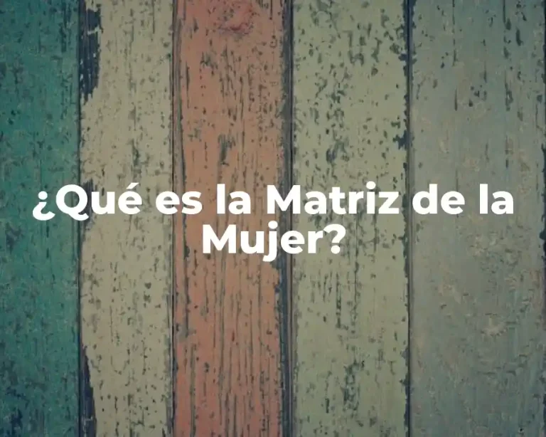 ¿Qué es la Matriz de la Mujer?