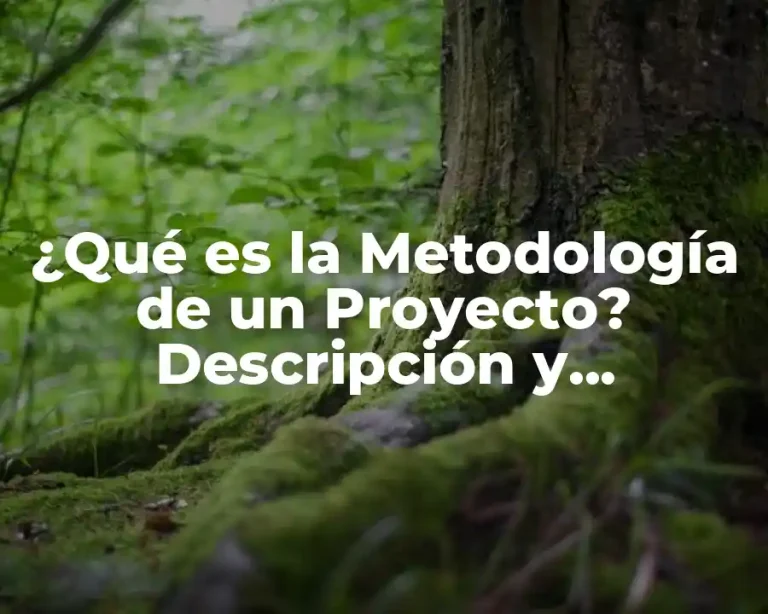 ¿Qué es la Metodología de un Proyecto? Descripción y Importancia