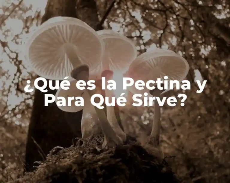 ¿Qué es la Pectina y Para Qué Sirve?