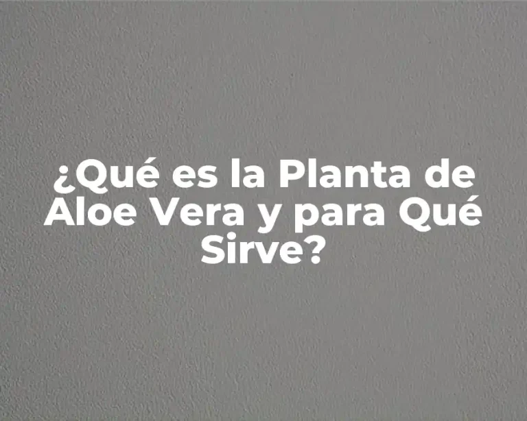 ¿Qué es la Planta de Aloe Vera y para Qué Sirve?