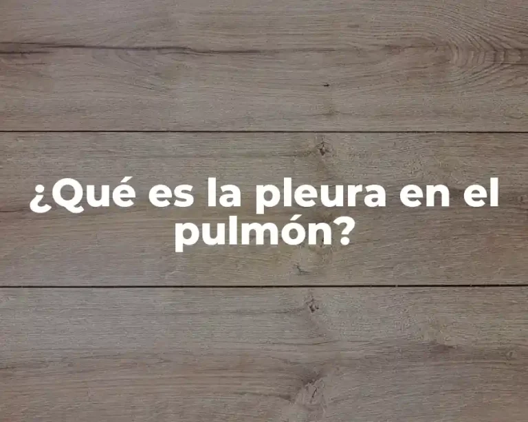 ¿Qué es la pleura en el pulmón?