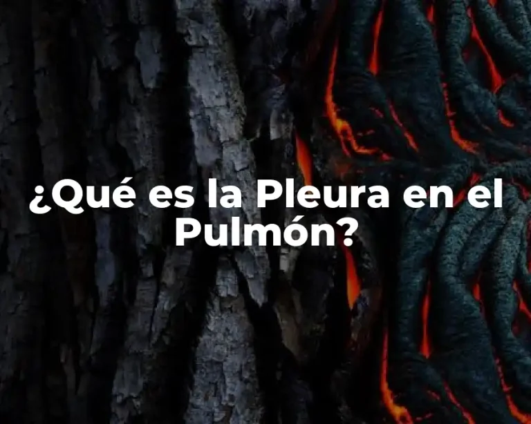 ¿Qué es la Pleura en el Pulmón?