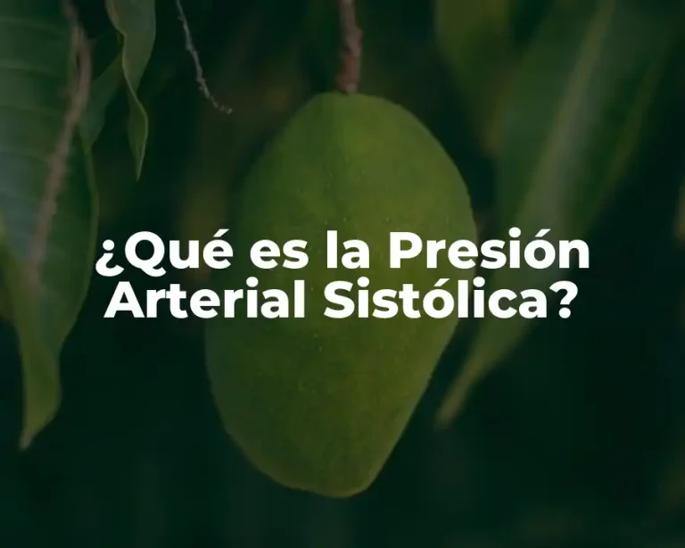 ¿Qué es la Presión Arterial Sistólica?