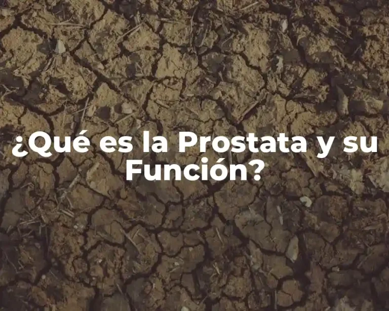 ¿Qué es la Prostata y su Función?