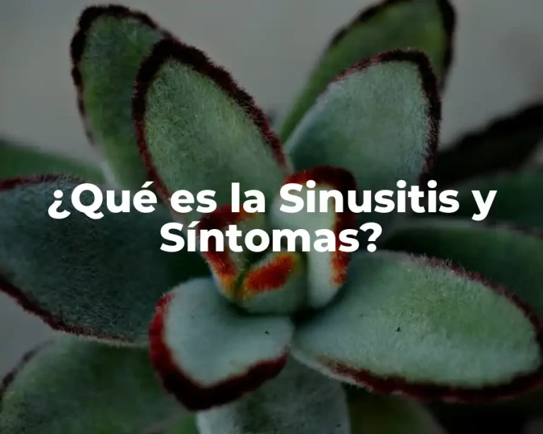 ¿Qué es la Sinusitis y Síntomas?