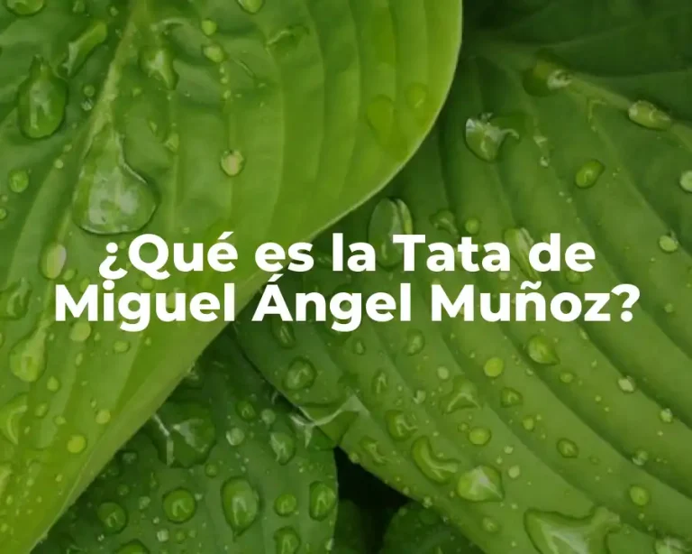 ¿Qué es la Tata de Miguel Ángel Muñoz?
