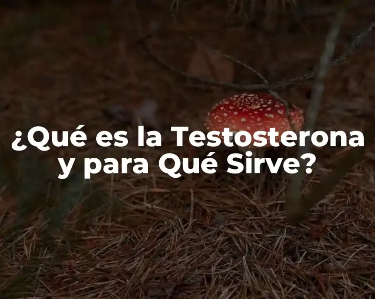 ¿Qué es la Testosterona y para Qué Sirve?