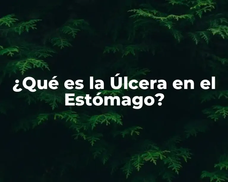 ¿Qué es la Úlcera en el Estómago?