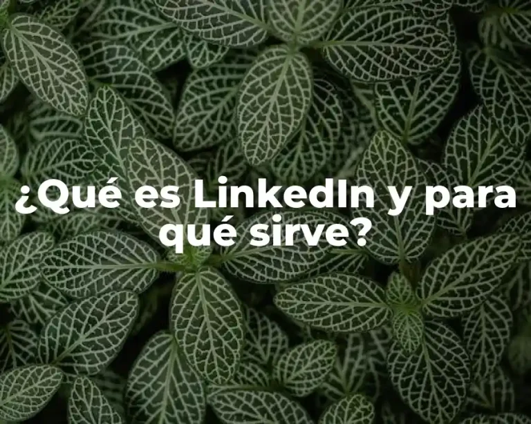 ¿Qué es LinkedIn y para qué sirve?