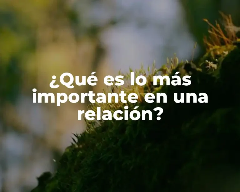 ¿Qué es lo más importante en una relación?
