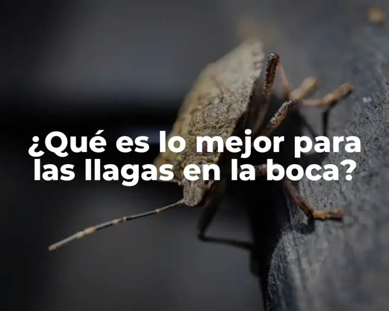 ¿Qué es lo mejor para las llagas en la boca?