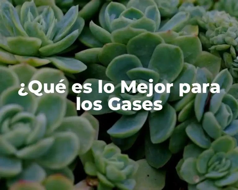 ¿Qué es lo Mejor para los Gases