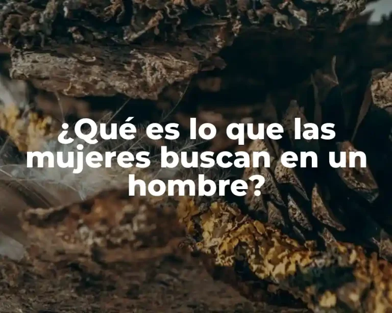 ¿Qué es lo que las mujeres buscan en un hombre?