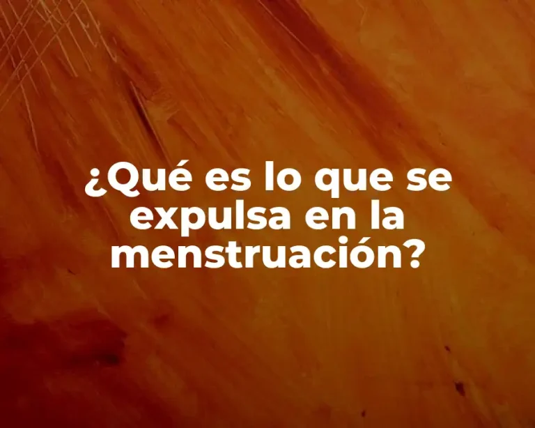 ¿Qué es lo que se expulsa en la menstruación?