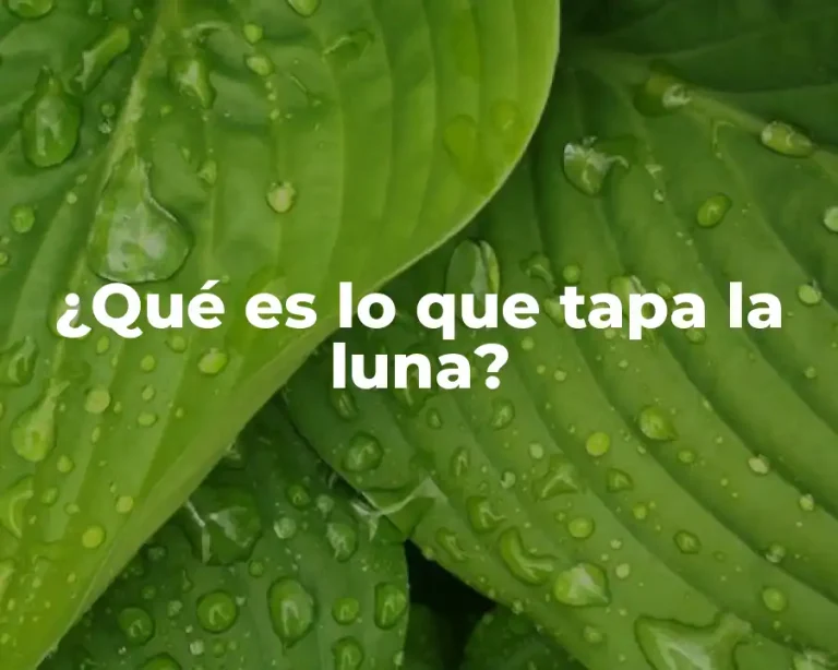 ¿Qué es lo que tapa la luna?