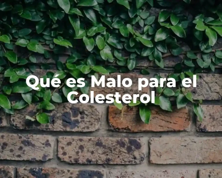 Qué es Malo para el Colesterol