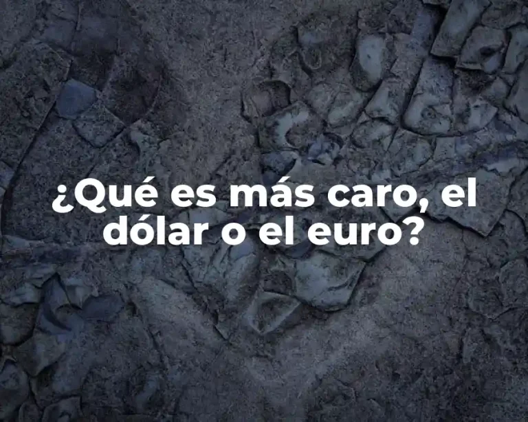 ¿Qué es más caro, el dólar o el euro?