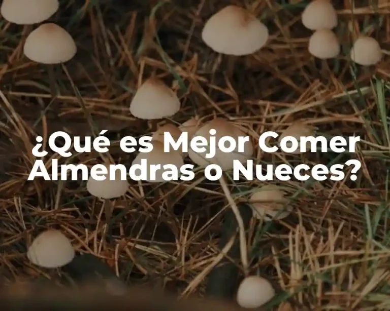 ¿Qué es Mejor Comer Almendras o Nueces?